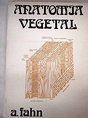 Anatomia vegetal