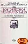 22962343485189.jpg Los derechos fundamentales