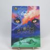 The storm runner (storm runner, 1)