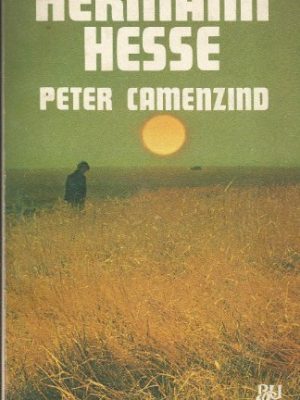 9788421741542_peter-camenzind_front-1.jpg Peter camenzind