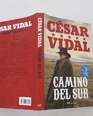 Camino del sur (cartone)/ martinez roca