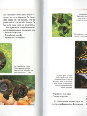 Acuario de agua dulce