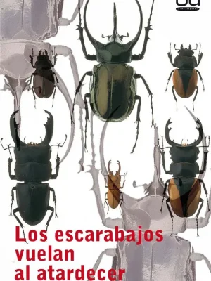 9788434811638_los-escarabajos-vuelan-al-atardecer_front-22.webp Los escarabajos vuelan al atardecer
