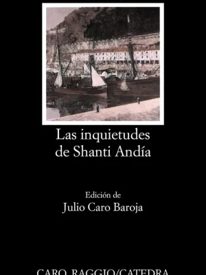 Las inquietudes de shanti andía