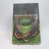 Microcréditos: la revolución silenciosa