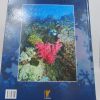 9788484473299_el-mundo-submarino-vida-marina-los-mares-tropicales-ii_back-3.jpg El mundo submarino. vida marina: los mares tropicales, ii