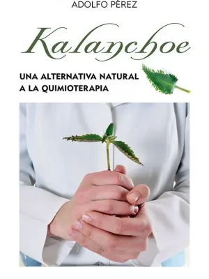 Kalanchoe (bolsillo)