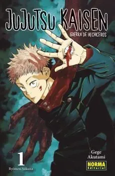 Jujutsu kaisen 01 (ed. regular)
